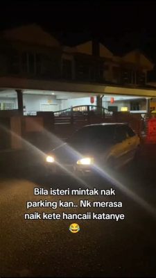 尼斯如何停車：探討停車之藝術與策略